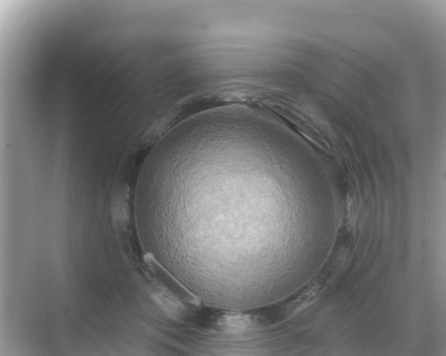 X0000068770413200605051637