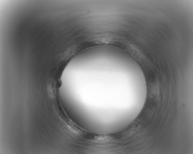 X0000068770414200605051637