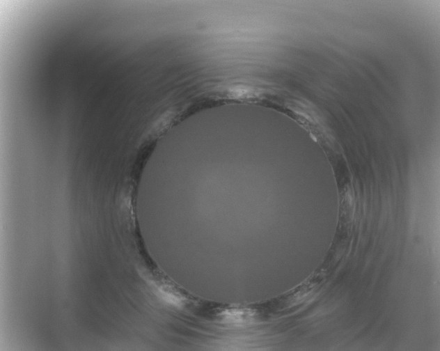 X0000068770415200605051637