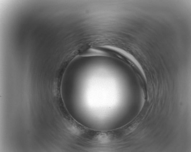 X0000068770416200605051637