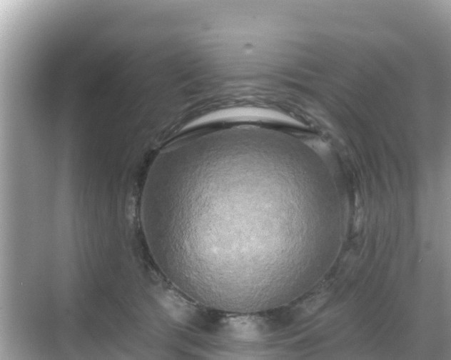 X0000068770417200605051637