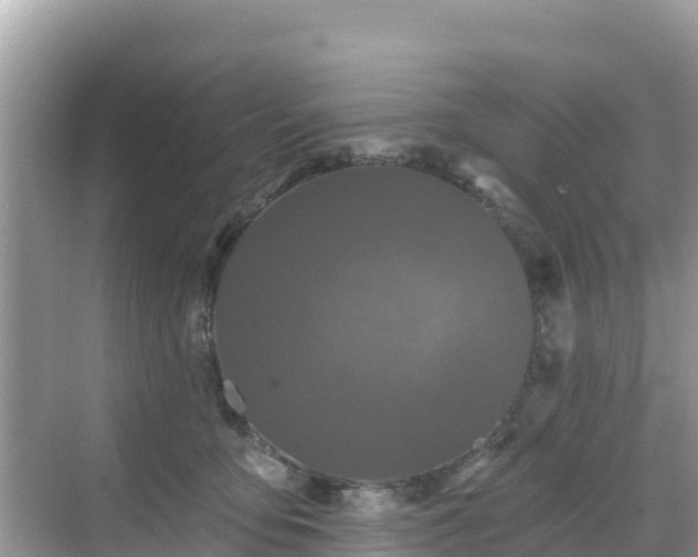 X0000068770419200605051636