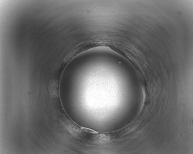 X0000068770421200605051636