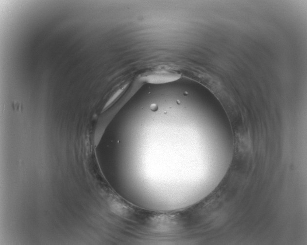 X0000068770422200605051636