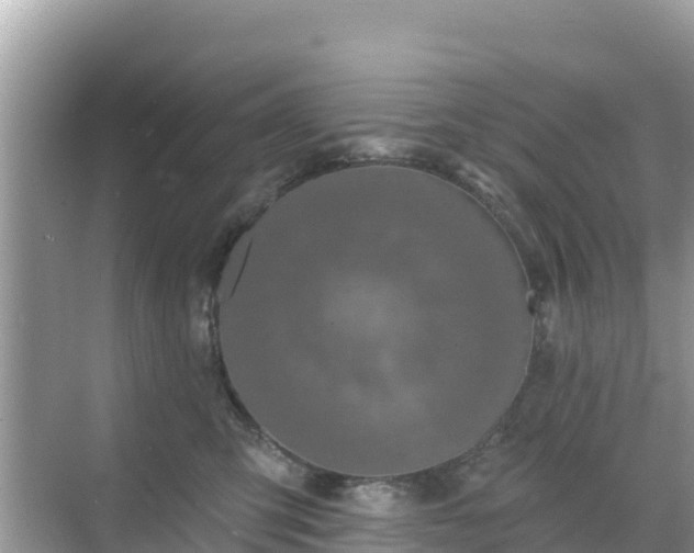 X0000068770423200605051636