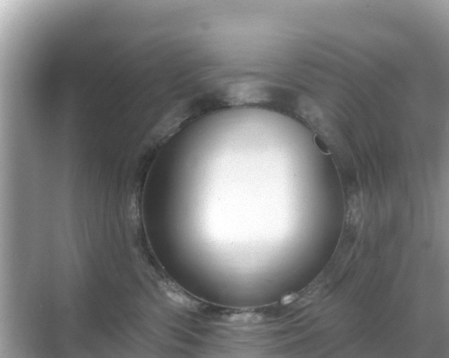 X0000068770426200605051636