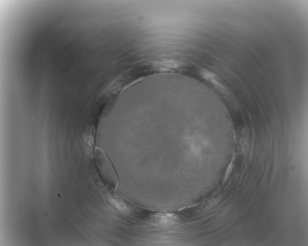 X0000068770427200605051636