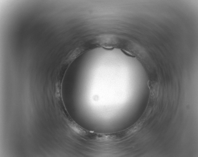 X0000068770430200605051636