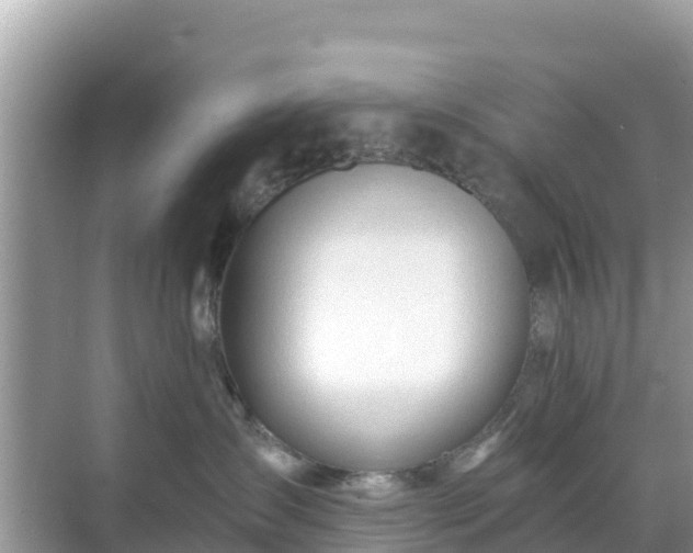 X0000068770431200605051636