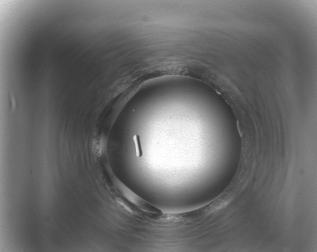 X0000068770432200605051636