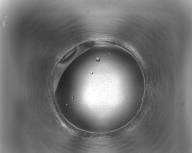 X0000068770433200605051635