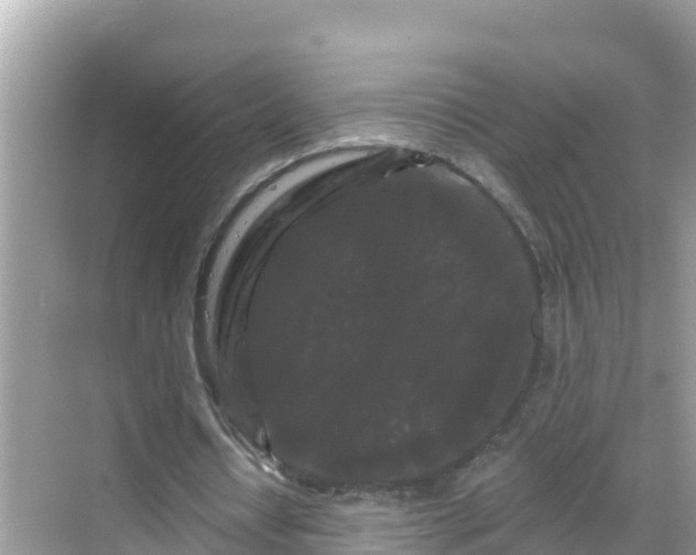 X0000068770434200605051635