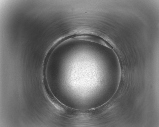 X0000068770438200605051636