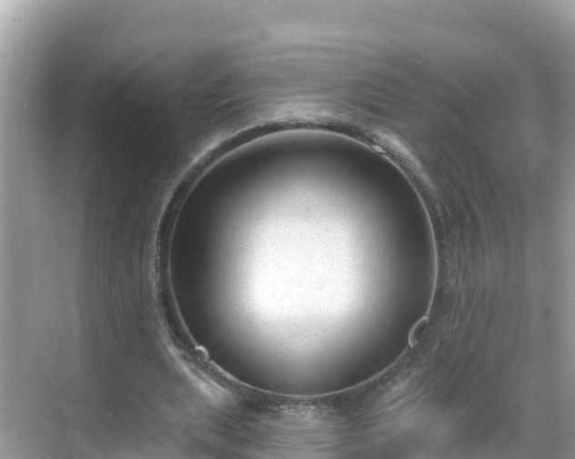 X0000068770439200605051636