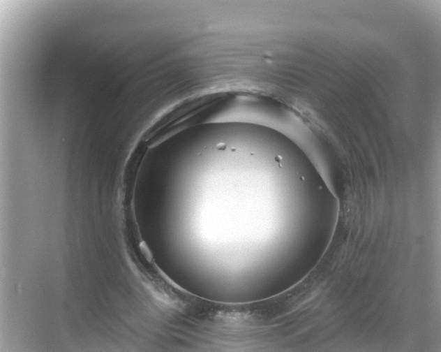 X0000068770440200605051636