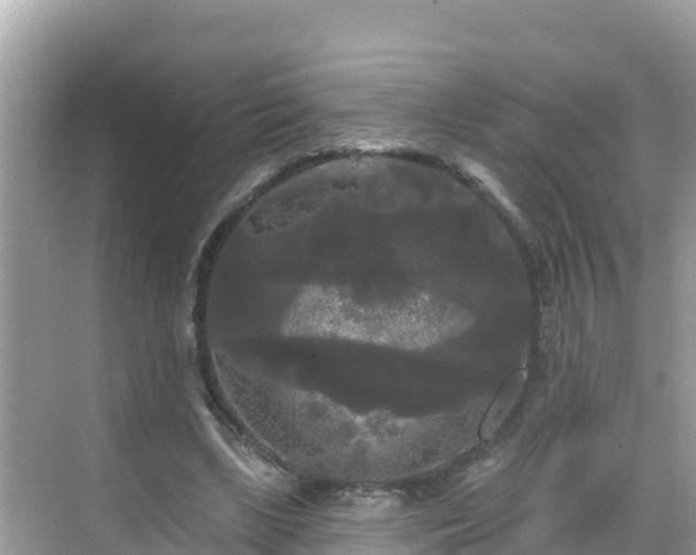 X0000068770443200605051636