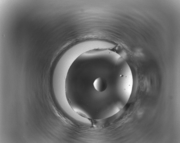 X0000068770446200605051636