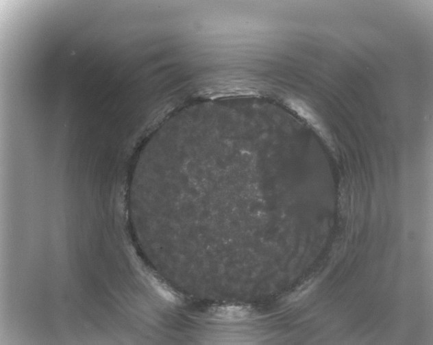 X0000068770449200605051636