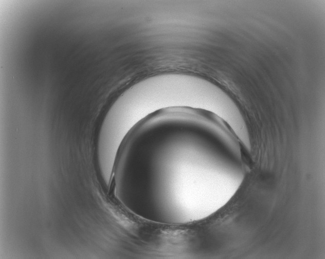 X0000068770450200605051636