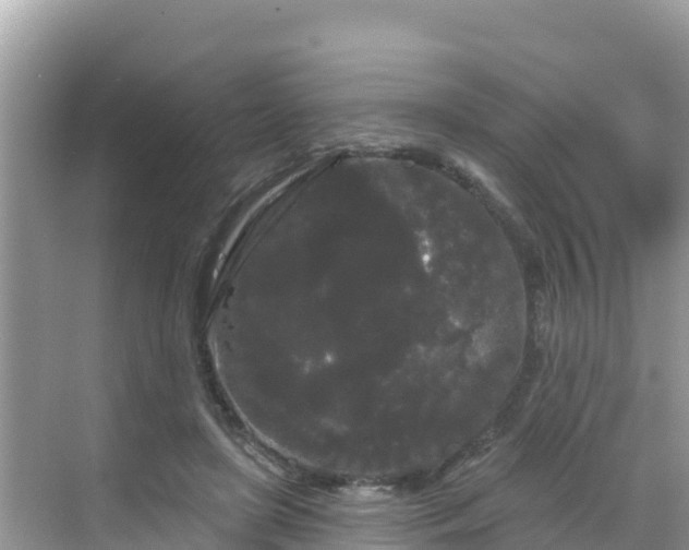 X0000068770451200605051636