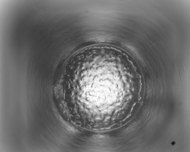 X0000068770453200605051636