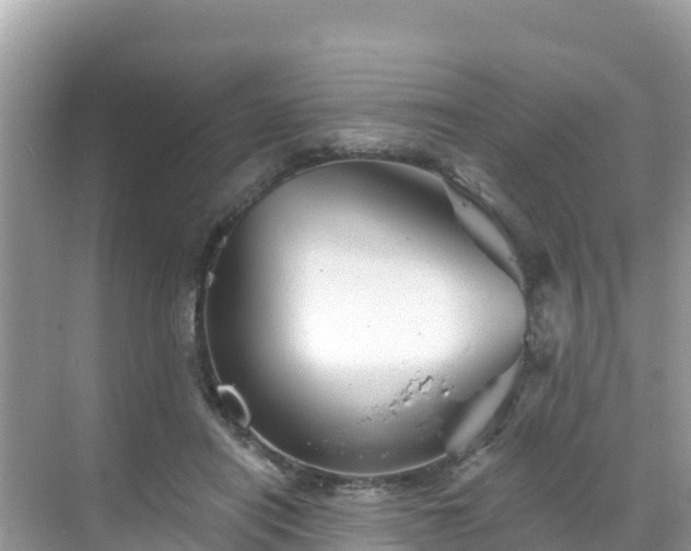 X0000068770454200605051636