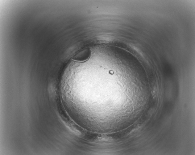 X0000068770455200605051636