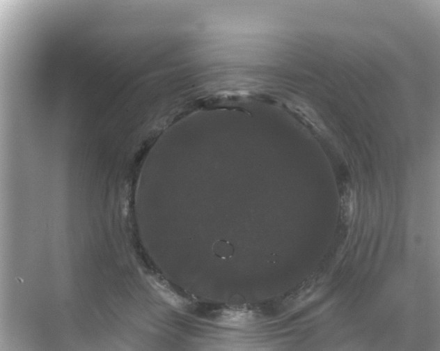 X0000068770458200605051636