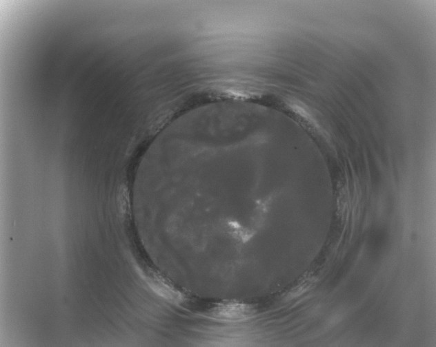 X0000068770459200605051636