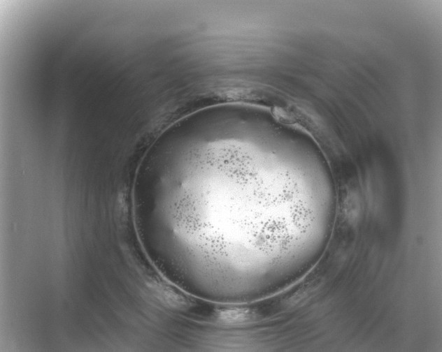 X0000068770461200605051636