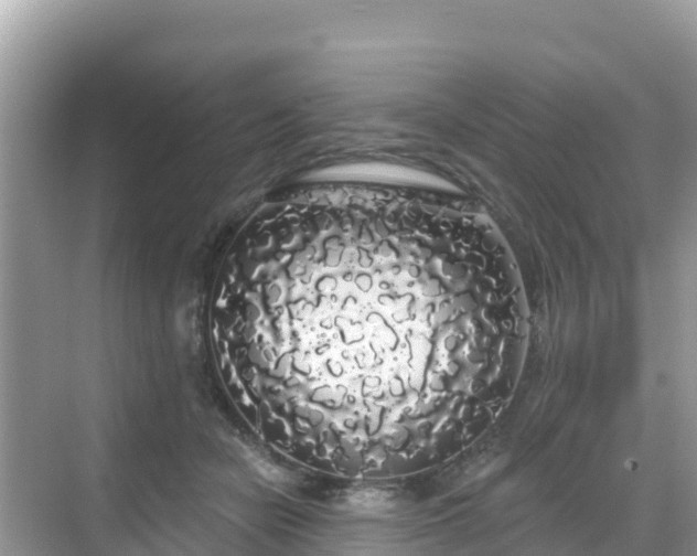 X0000068770462200605051636