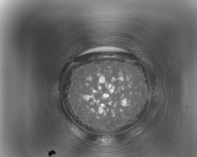 X0000068770466200605051636