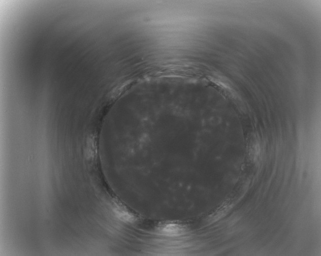 X0000068770467200605051636