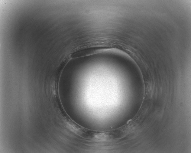 X0000068770470200605051636