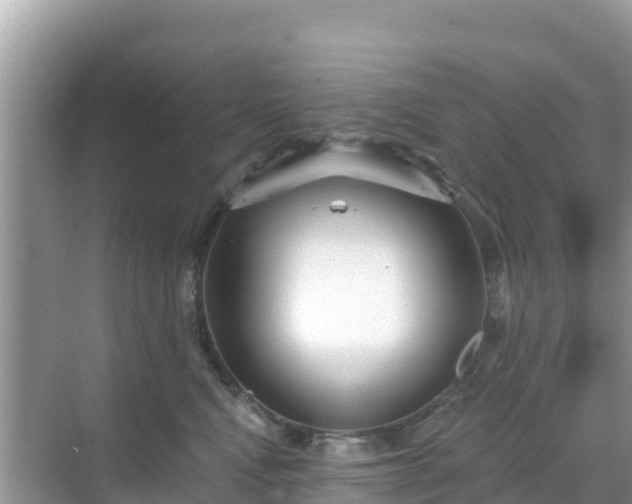 X0000068770472200605051636