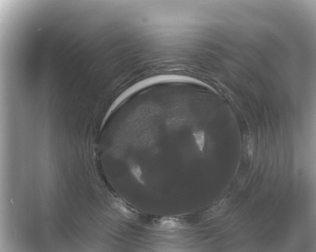 X0000068770475200605051636