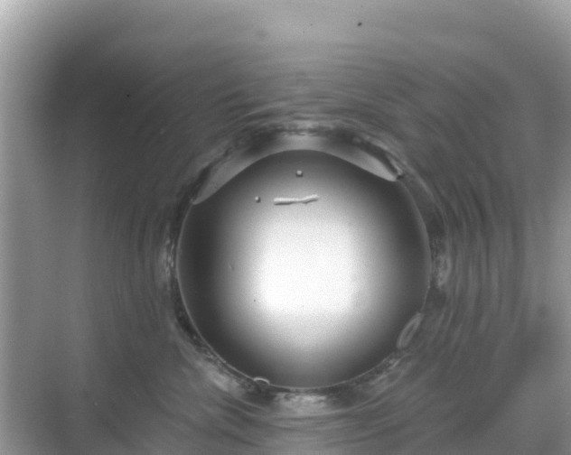 X0000068770476200605051636