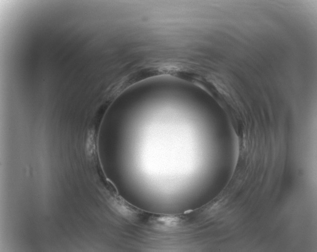 X0000068770478200605051636