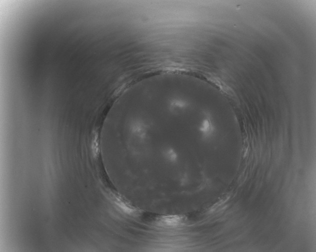 X0000068770479200605051636