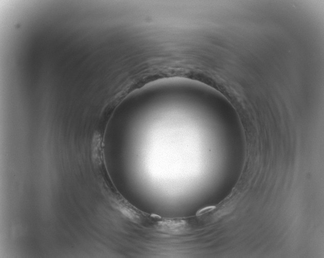 X0000068770480200605051636