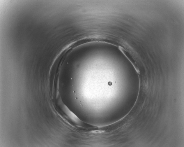 X0000068770484200605051635