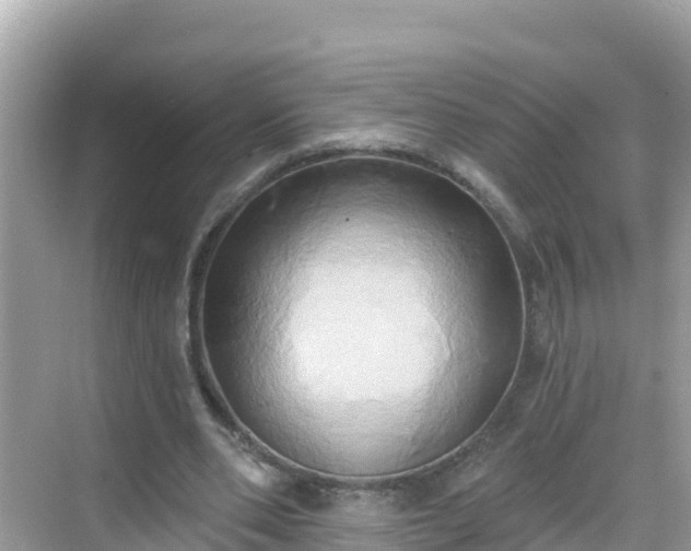 X0000068770486200605051635