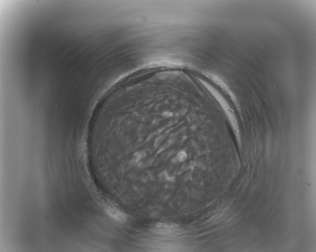 X0000068770487200605051635