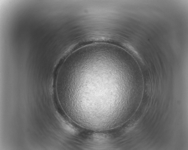 X0000068770490200605051635