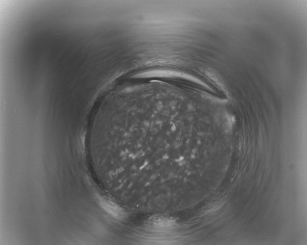 X0000068770491200605051635