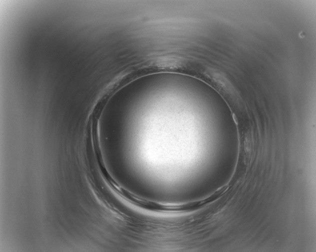 X0000068770492200605051635