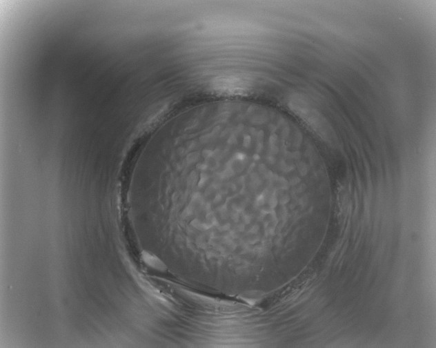 X0000068770494200605051635