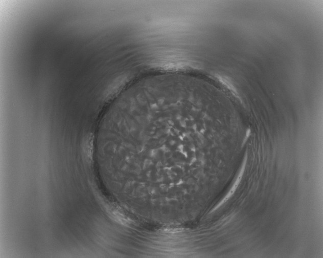 X0000068770495200605051635