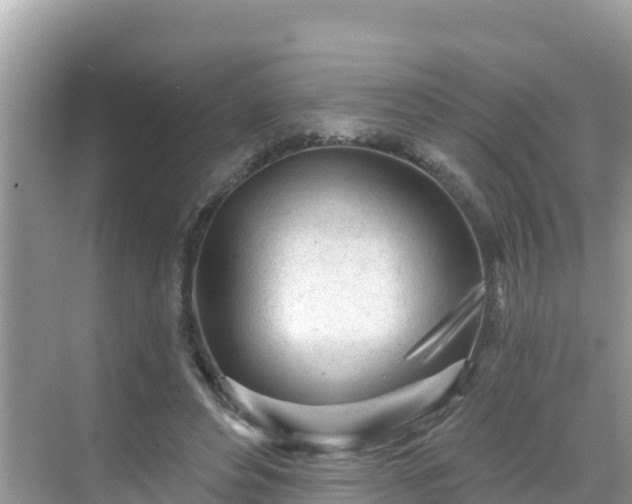 X0000068770496200605051635