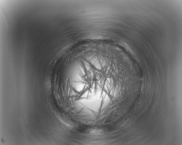 X0000068770500200605051635